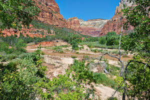 USA Zion<br>NIKON D4, 24 mm, 100 ISO,  1/400 sec,  f : 8 